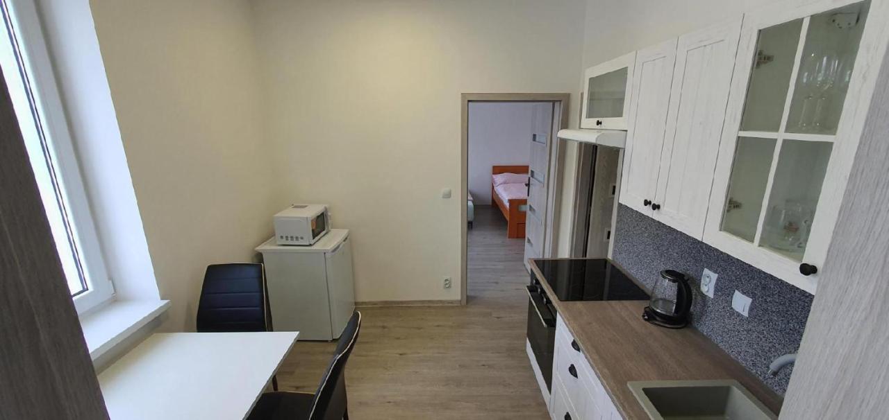 Apartment 35M2 Karlovy Vary Kültér fotó
