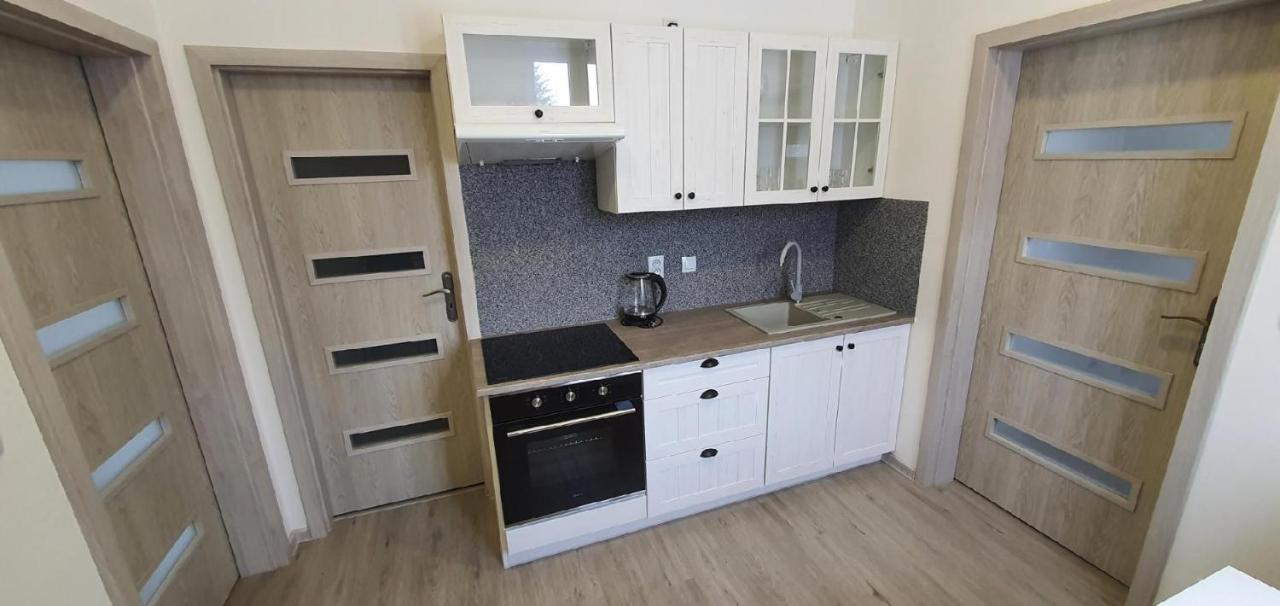 Apartment 35M2 Karlovy Vary Kültér fotó